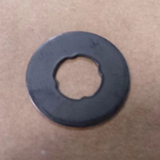 SEAL                                                                                                          