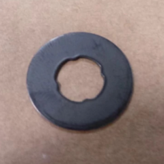 SEAL                                                                                                          